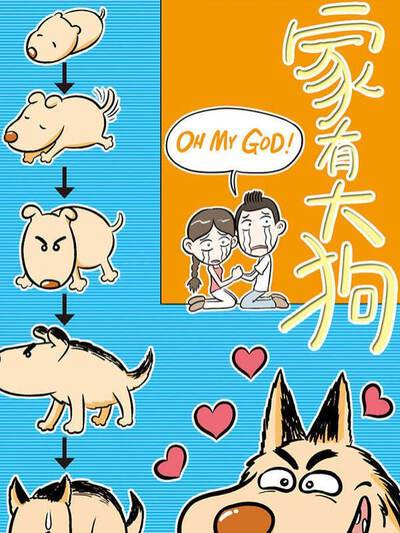 编辑精选·默契搭档封面